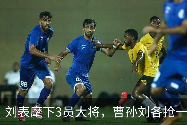 刘表麾下3员大将，曹孙刘各抢一个，刘抢得最猛，孔明也十分忌惮！