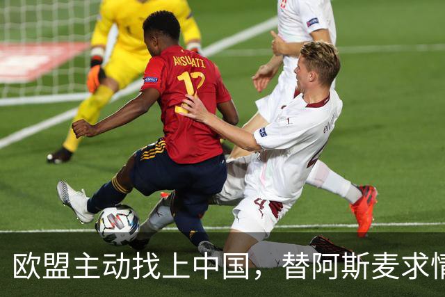 欧盟主动找上中国，替阿斯麦求情：中方别管制了，真顶不住